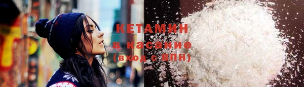 прущие грибы Михайлов