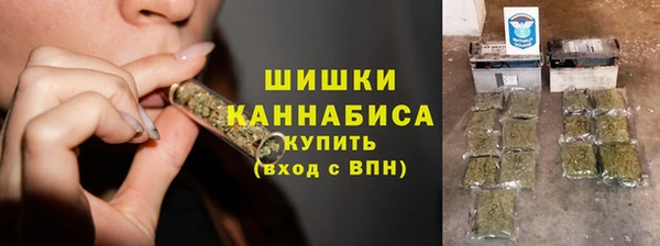 прущие грибы Михайлов