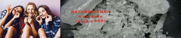 прущие грибы Михайлов