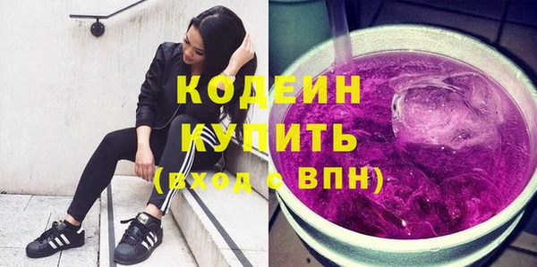 прущие грибы Михайлов