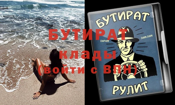 прущие грибы Михайлов