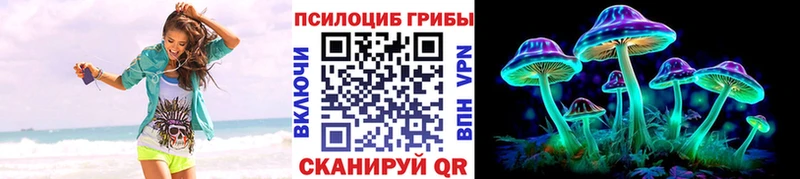 блэк спрут как зайти  Нюрба  Псилоцибиновые грибы мицелий  купить наркотик 